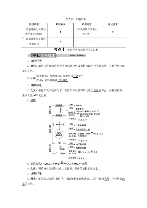 2021版浙江新高考选考生物一轮复习教师用书:第7讲 细胞呼吸