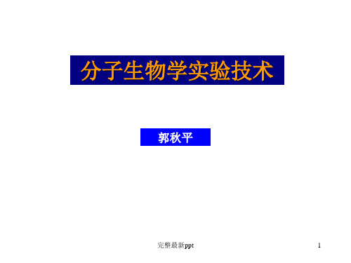 分子生物学实验技术-郭秋平ppt课件