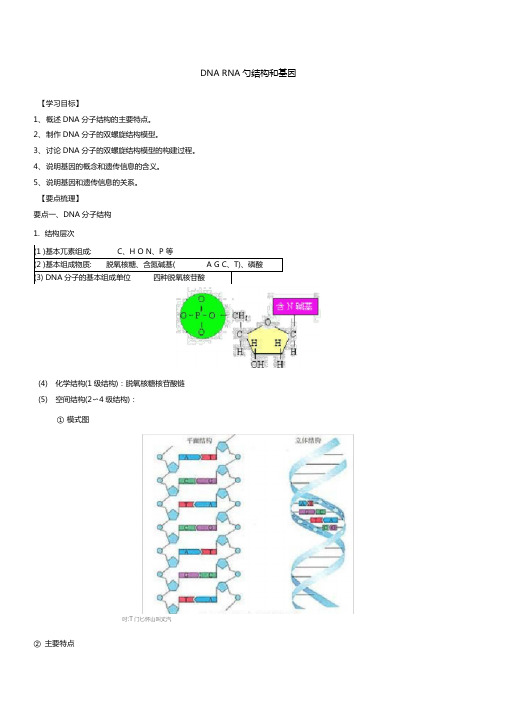 23知识讲解DNA、RNA的结构和基因