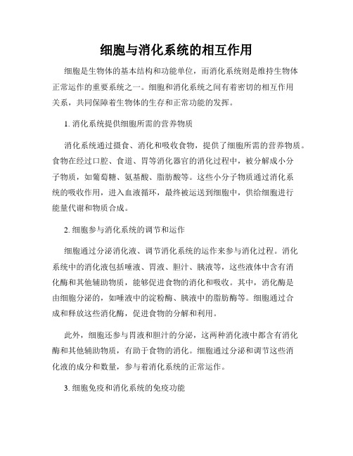 细胞与消化系统的相互作用