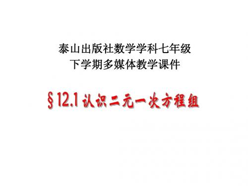 七年级数学下册 12.1 认识二元一次方程组课件 青岛版