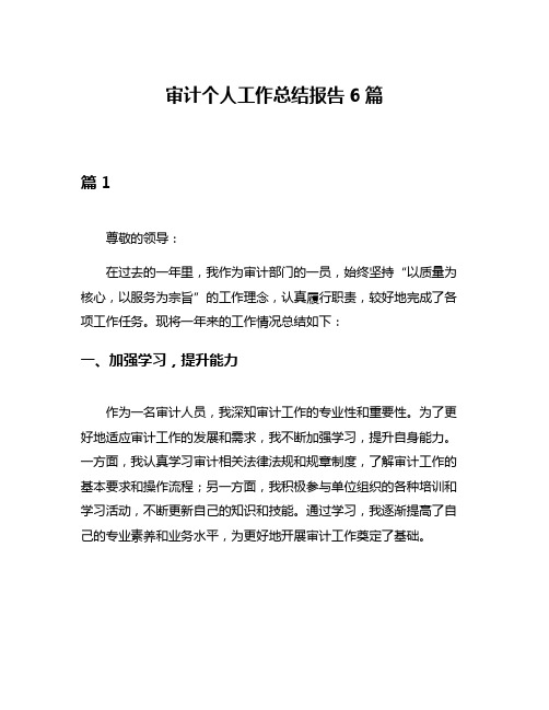 审计个人工作总结报告6篇