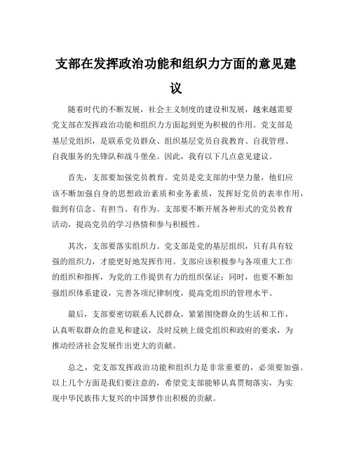 支部在发挥政治功能和组织力方面的意见建议