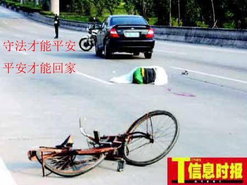初中七年级上册安全教育《怎样确保骑车安全》课件