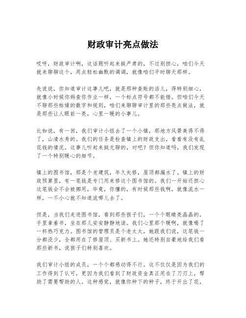 财政审计亮点做法