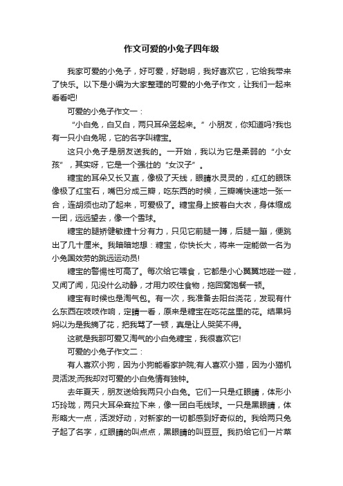 作文可爱的小兔子四年级