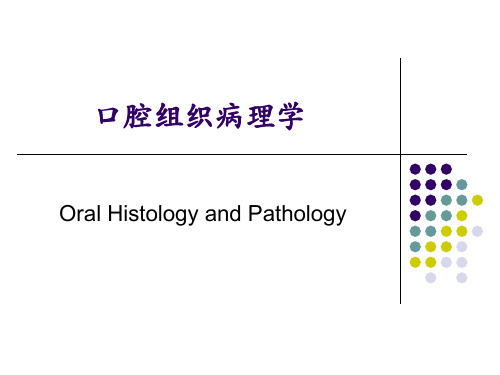 口腔组织病理学—牙周组织(精品课件)