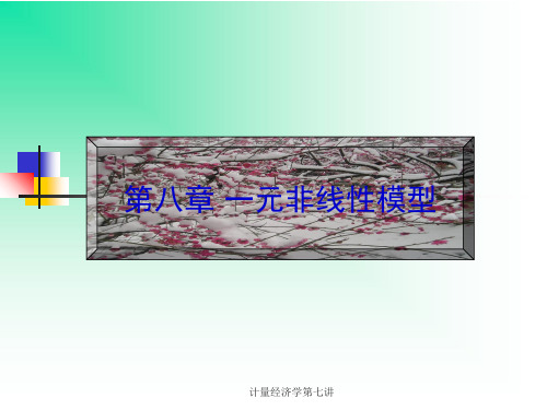 计量经济学第七讲