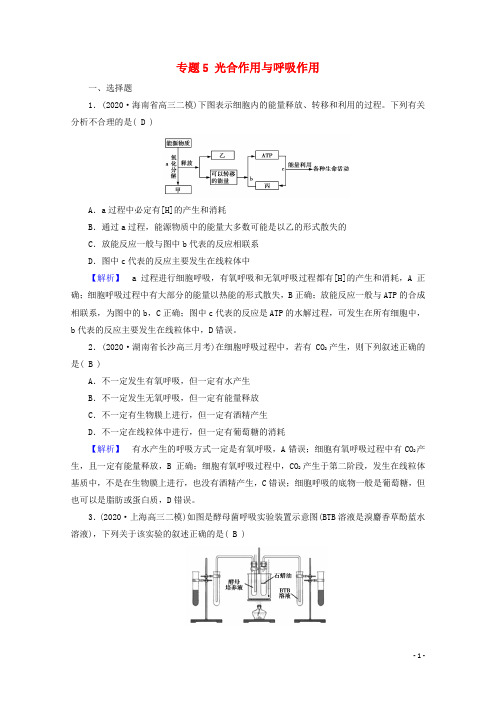 2021届高考生物二轮复习 专题5 光合作用与呼吸作用高考模拟训练（含解析）新人教版