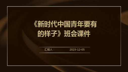 《新时代中国青年要有的样子》班会课件