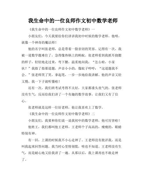 我生命中的一位良师作文初中数学老师