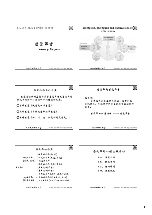 04人体及动物生理学_感觉器官