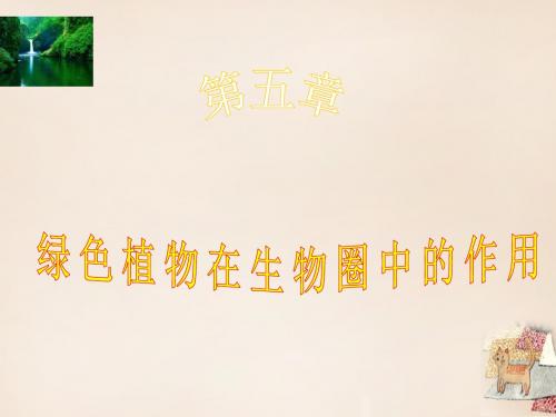 八年级生物上册3.5绿色植物在生物圈中的作用课件(新版