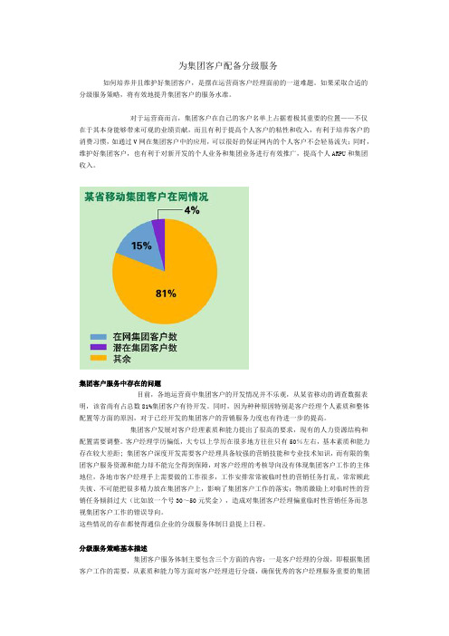 为集团客户配备分级服务