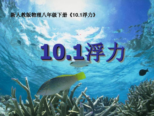 2020-2021学年人教版物理八年级(下册)10.1浮力-课件(2)