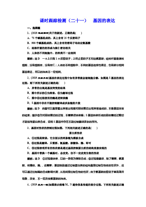 2019版高考生物新三维(通用版)一轮课时跟踪检测(二十一) 基因的表达 Word版含解析