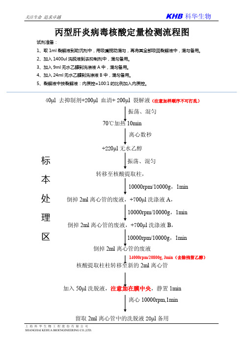 HCV新-简易操作流程