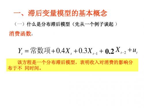 09滞后变量模型的基本概念