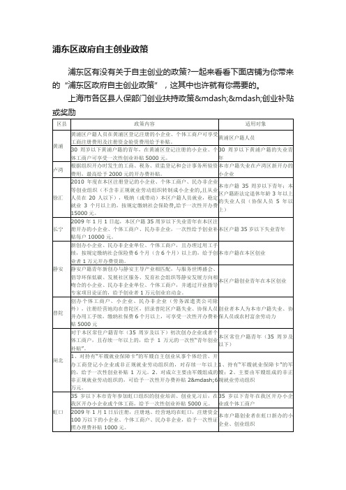 浦东区政府自主创业政策