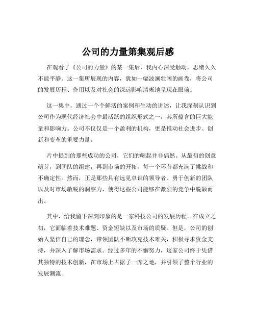 公司的力量第集观后感