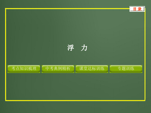 初中物理专题浮力ppt课件