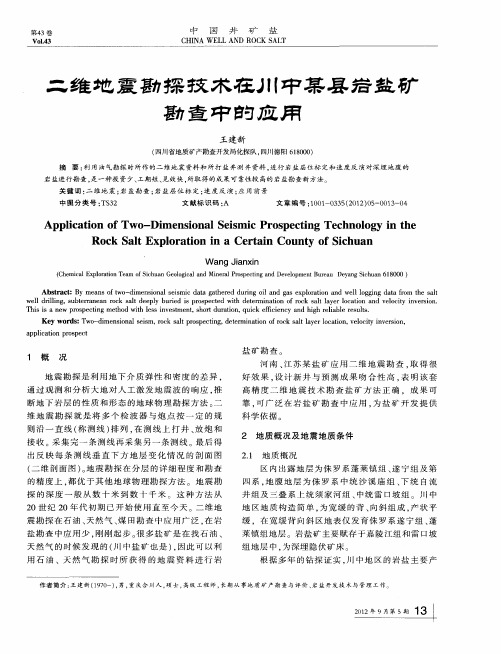 二维地震勘探技术在川中某县岩盐矿勘查中的应用