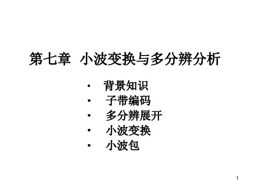 小波变换与多分辨分析资料