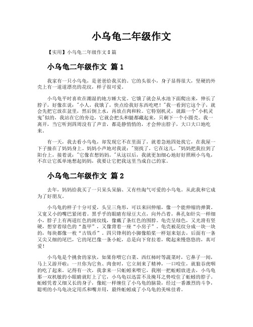 小乌龟二年级作文