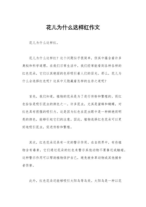 花儿为什么这样红作文