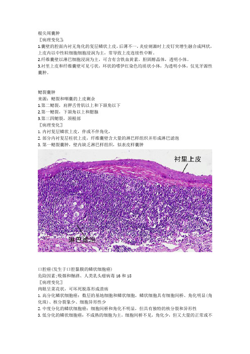 常见病的口腔组织病理切片