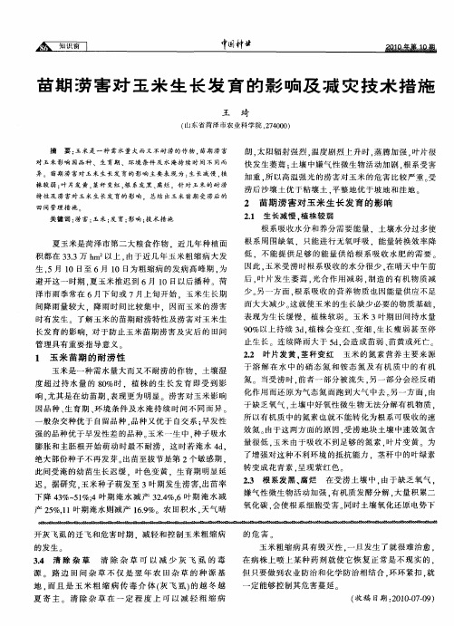 苗期涝害对玉米生长发育的影响及减灾技术措施