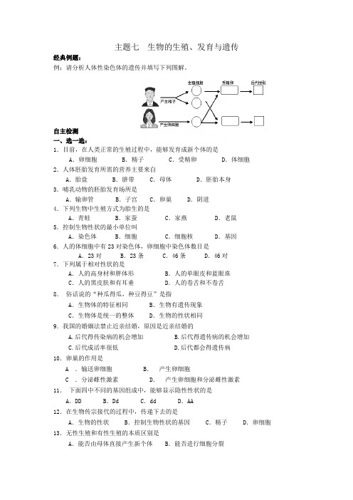 江苏地区中考生物主题七：生物的生殖