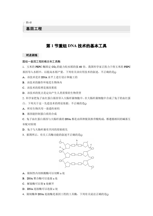 高中生物新教材同步训练选修三第3章 第1节 重组DNA技术的基本工具