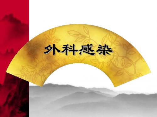 外科学(总论)_王柏群_第十二章外科感染