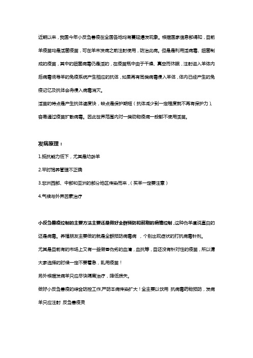 羊小反刍兽疫怎么传播如何防治