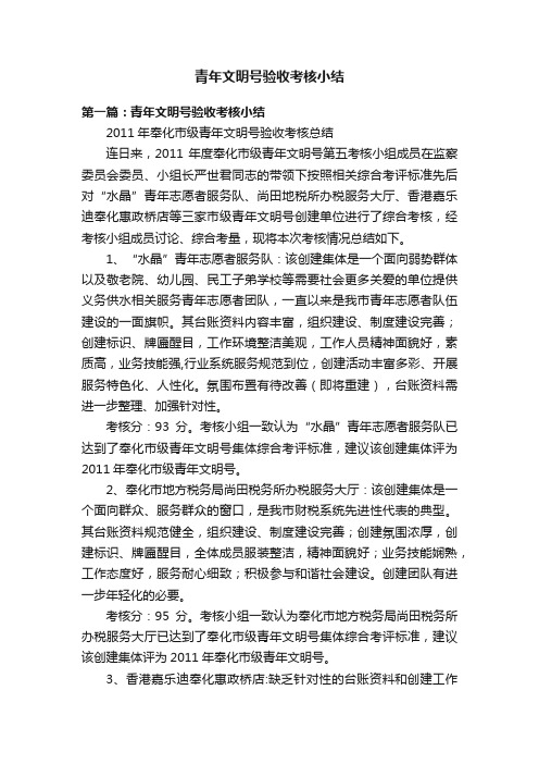 青年文明号验收考核小结