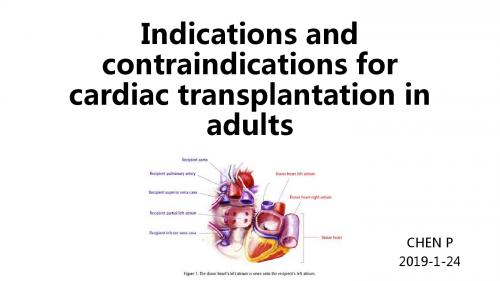 cardiac transplantation,心脏移植