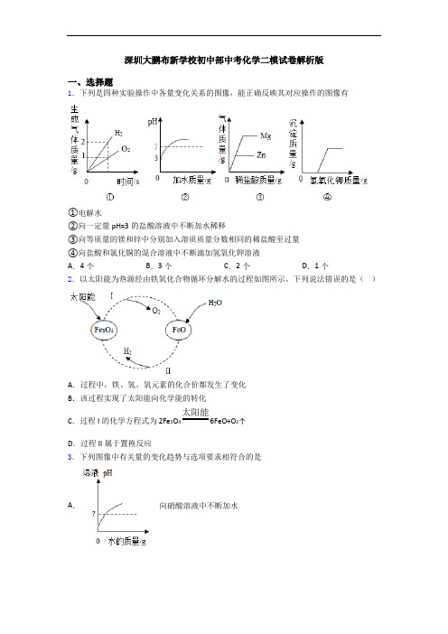 深圳大鹏布新学校初中部中考化学二模试卷解析版