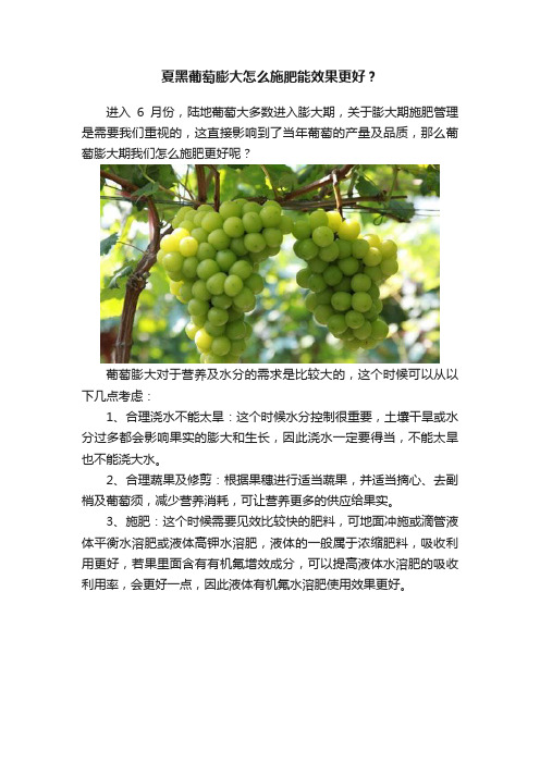 夏黑葡萄膨大怎么施肥能效果更好？