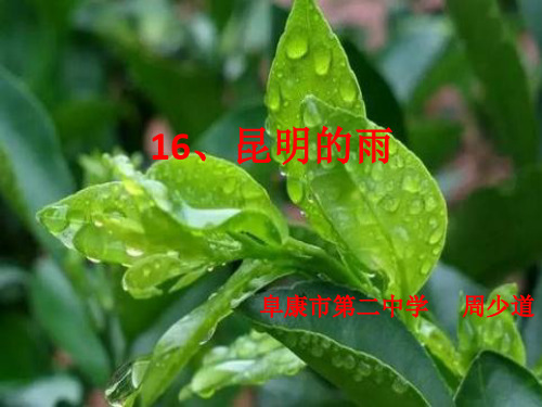 语文人教版(部编)八年级上册《永久的生命》课件公开课(2)