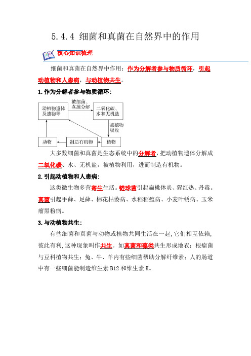 细菌和真菌在自然界中的作用-2022-2023学年八年级生物上册课后培优分级练(人教版)(解析版)