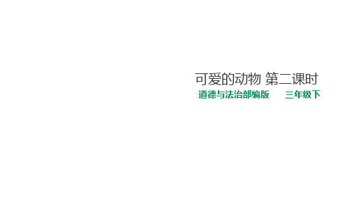《可爱的动物》公开课课件2