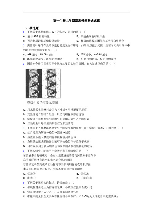 高一生物上学期期末模拟测试试题