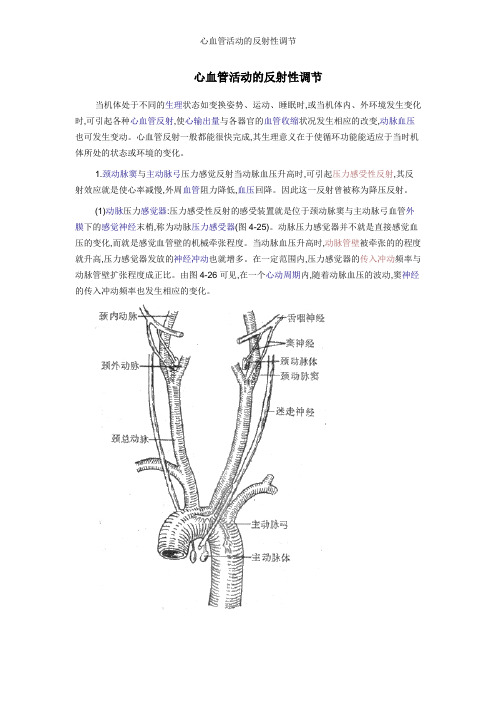 心血管活动的反射性调节