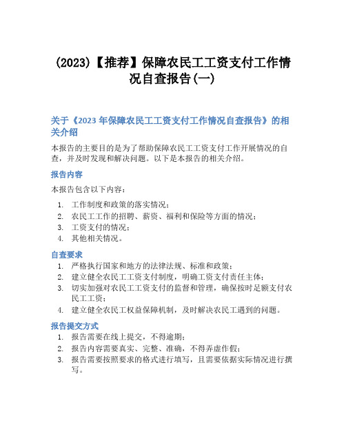 (2023)【推荐】保障农民工工资支付工作情况自查报告(一)