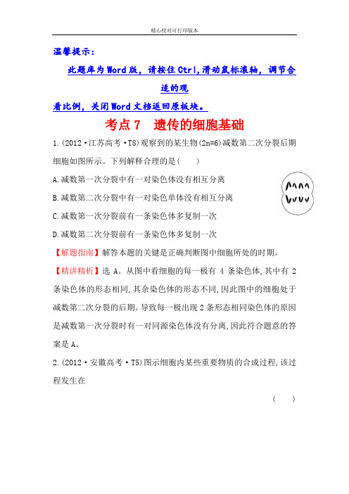 世纪金榜2020真题新课标分类：考点7 遗传的细胞基础