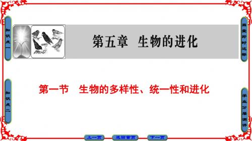浙科版生物必修2课件：第5章 第1节 生物的多样性、统一性和进化
