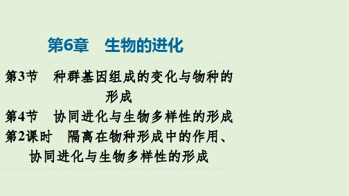 【高中生物】2023-2024学年人教版必修二 隔离在物种形成中的作用、协同进化与生物多样性的形成