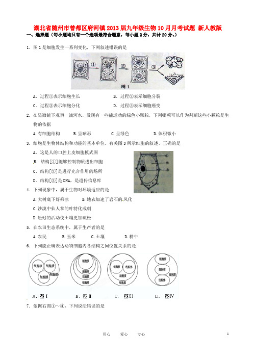 湖北省随州市曾都区府河镇2013届九年级生物10月月考试题 新人教版.doc