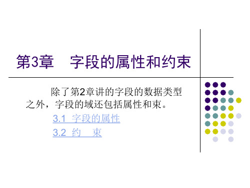 第3章  字段的属性和约束